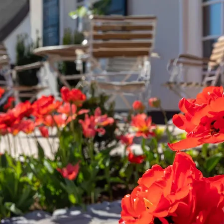 Traumhaus Unter Reet Deluxe Ostseeheilbad Zingst